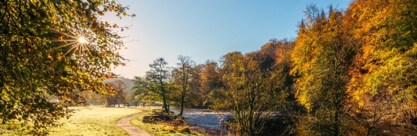 Ein Pfad, Weg im Herbst